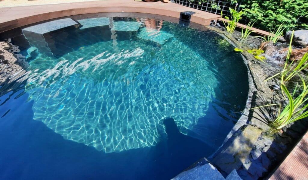 Acqua naturale di una bio-piscina