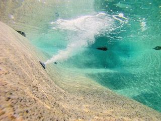 Bio-piscina integrata nel giardino